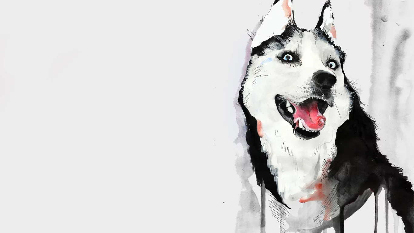 хаска, Собака, язык, рисунок, акварель, хаски
