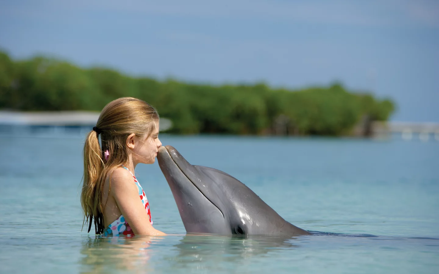 paradise island, bahamas, девчонка, дельфин, child, Океан, дружба