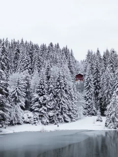 озеро, снег, зима, лес, домик, Швейцария, деревья