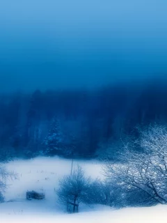 снег, туман, вечер, природа, Зима