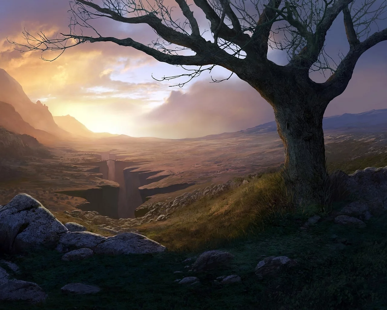 дерево, каньон, andreas rocha, арт, ущелье
