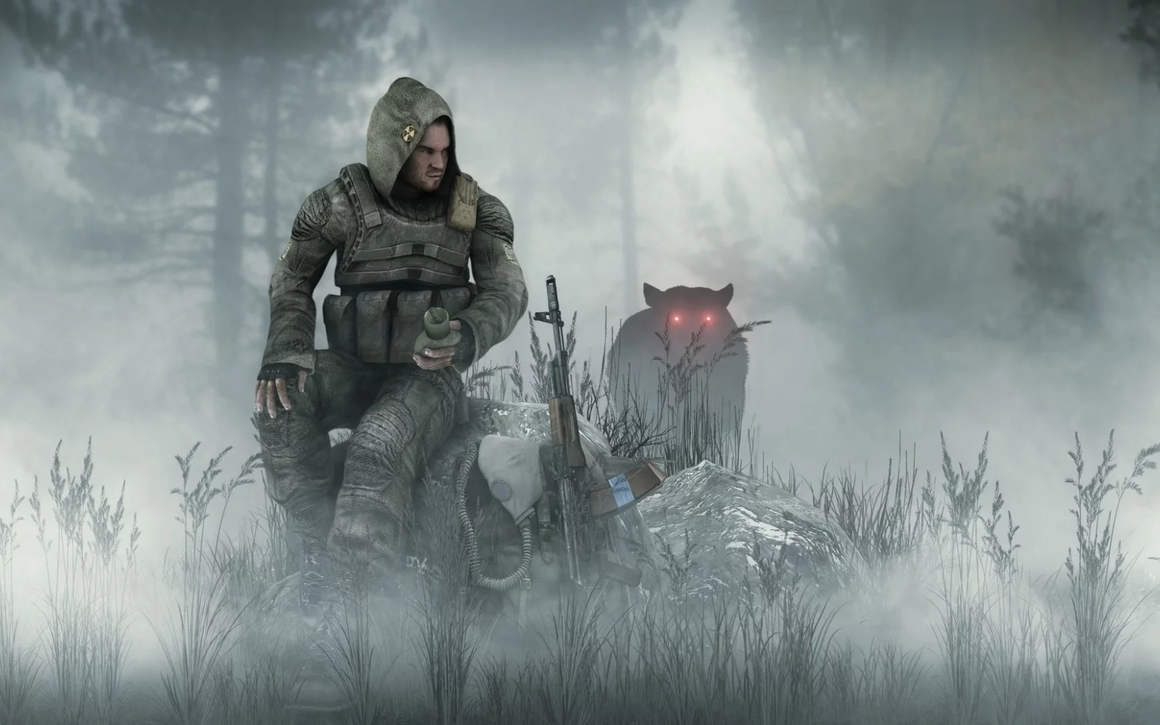 волк, лес, солдат, туман, калаш, stalker