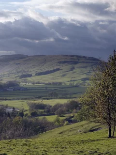 природа, пейзаж, деревья, долина