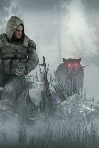 волк, лес, солдат, туман, калаш, stalker