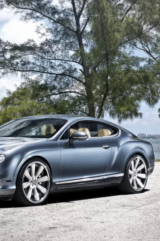бентли, континенталь, gt, bentley, continental