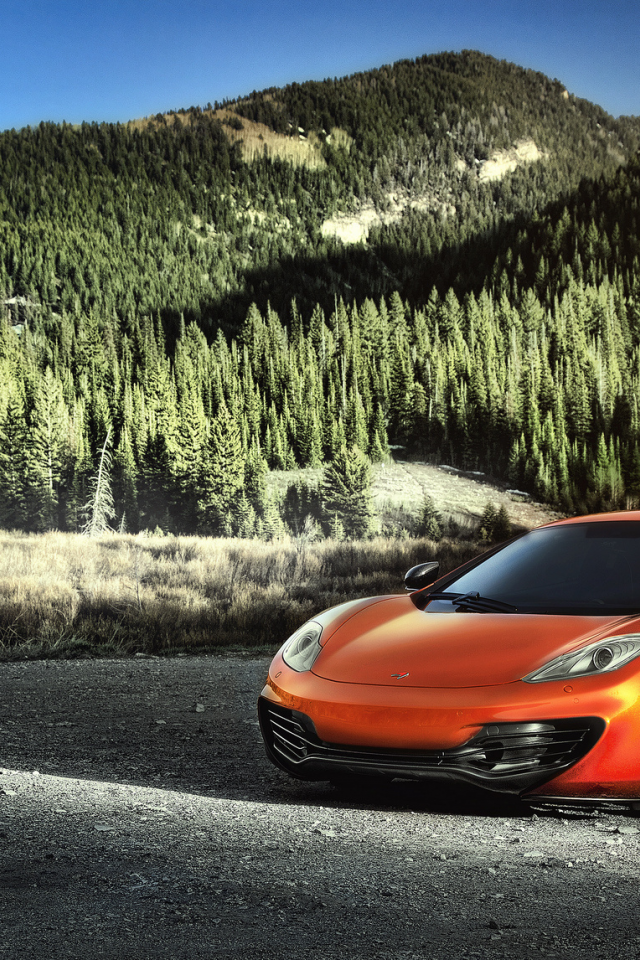 MCLAREN 640