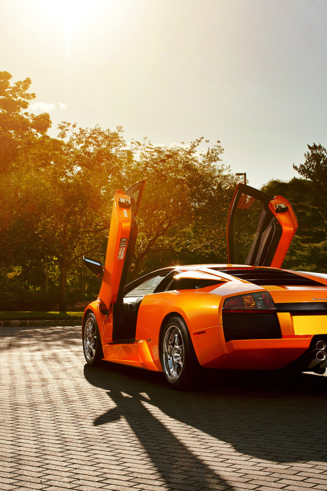 Lamborghini Murcielago Orange