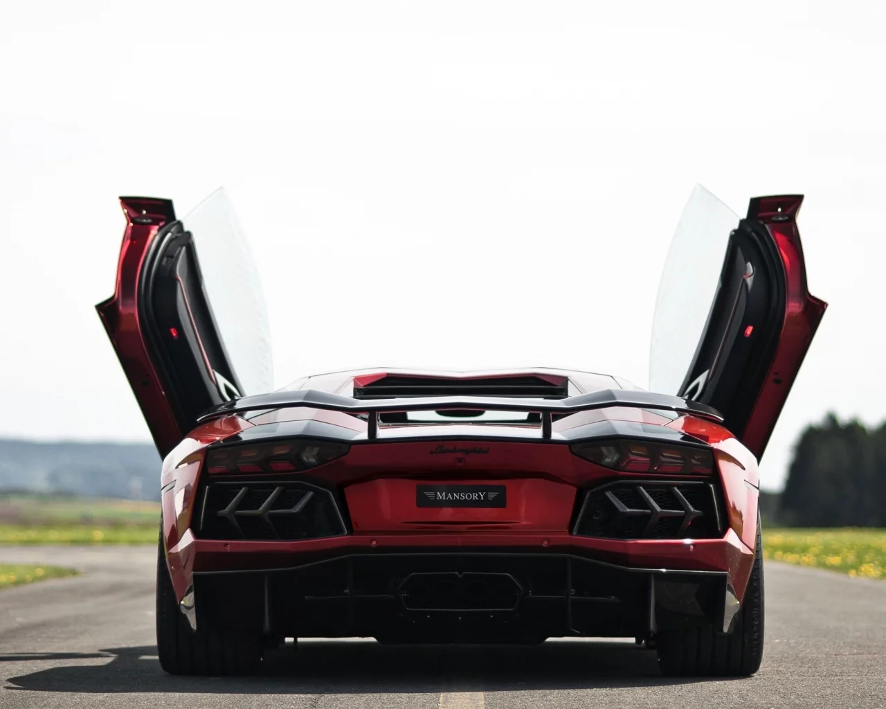 суперкар, lamborghini aventador, попа, дорога