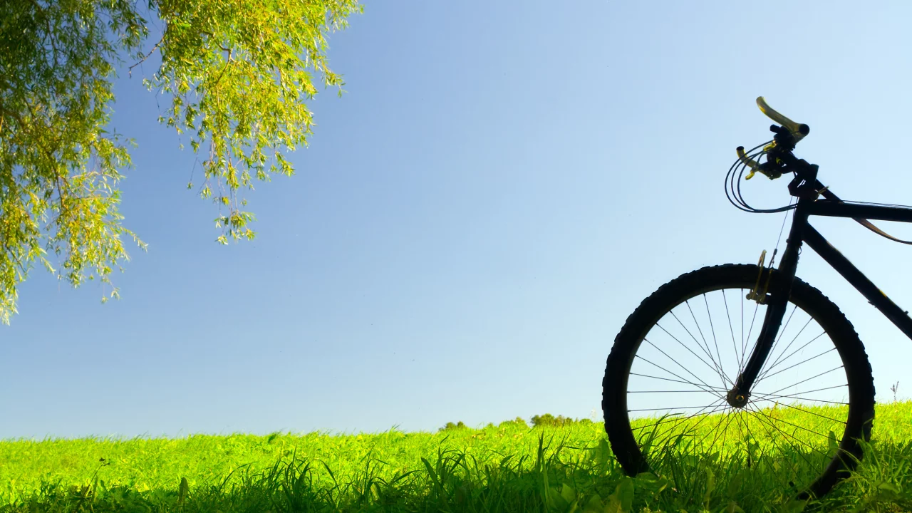 bike, природа, настроение, простор, лето