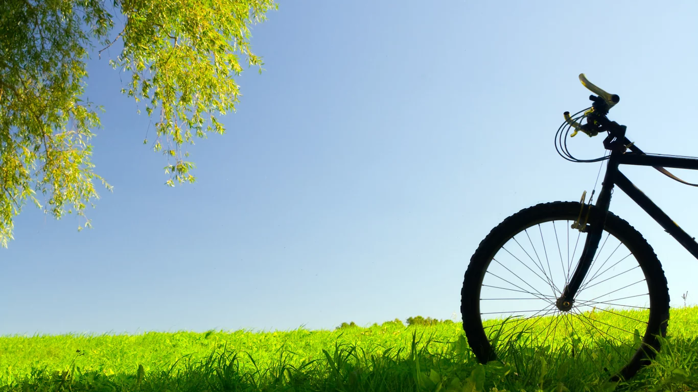 bike, природа, настроение, простор, лето