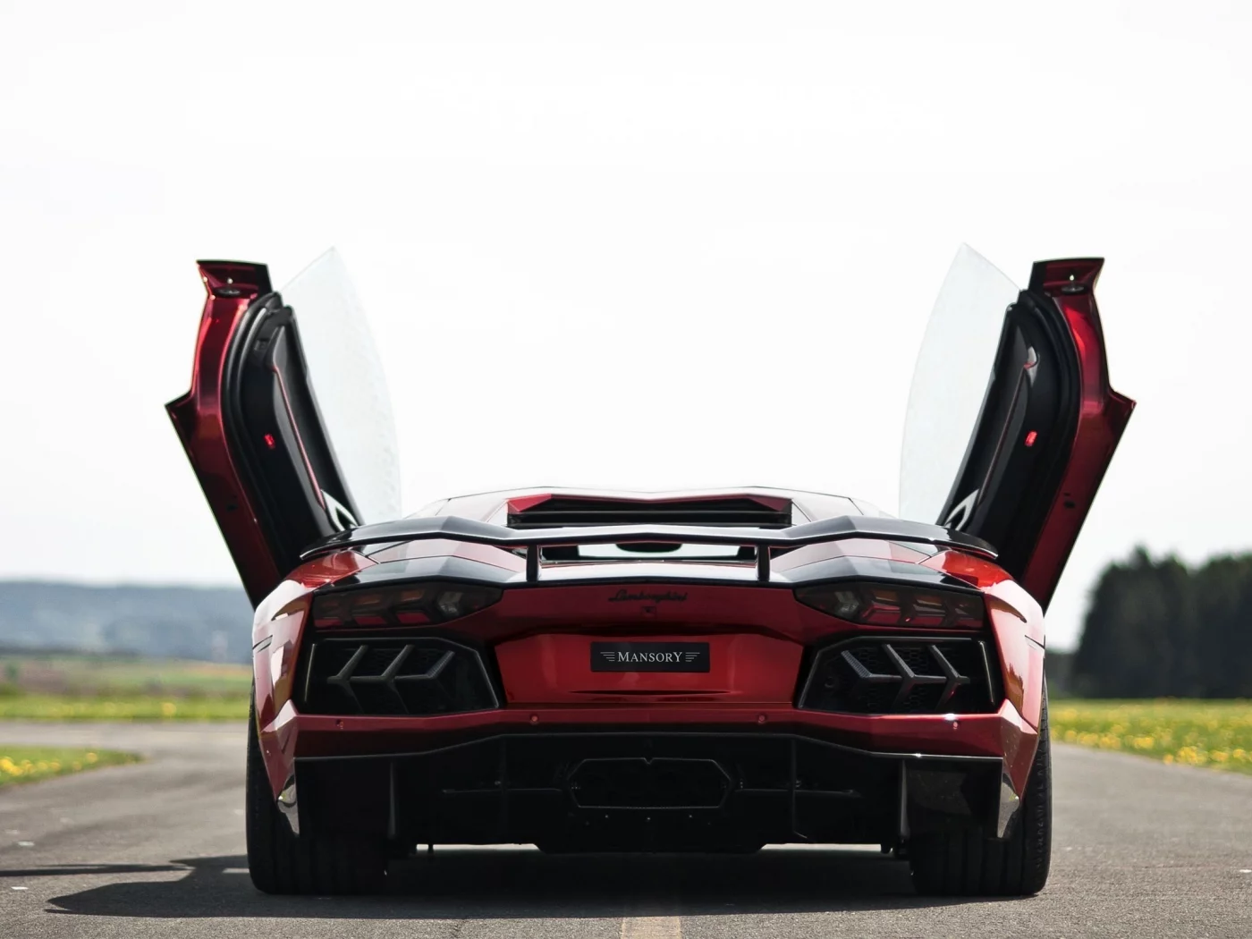 суперкар, lamborghini aventador, попа, дорога