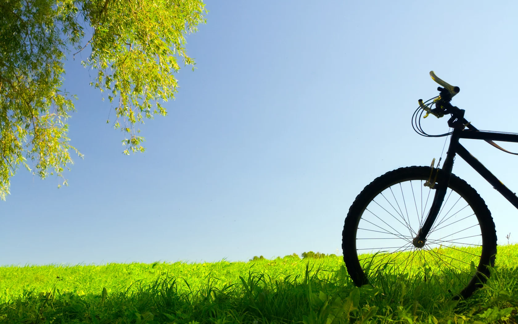 bike, природа, настроение, простор, лето