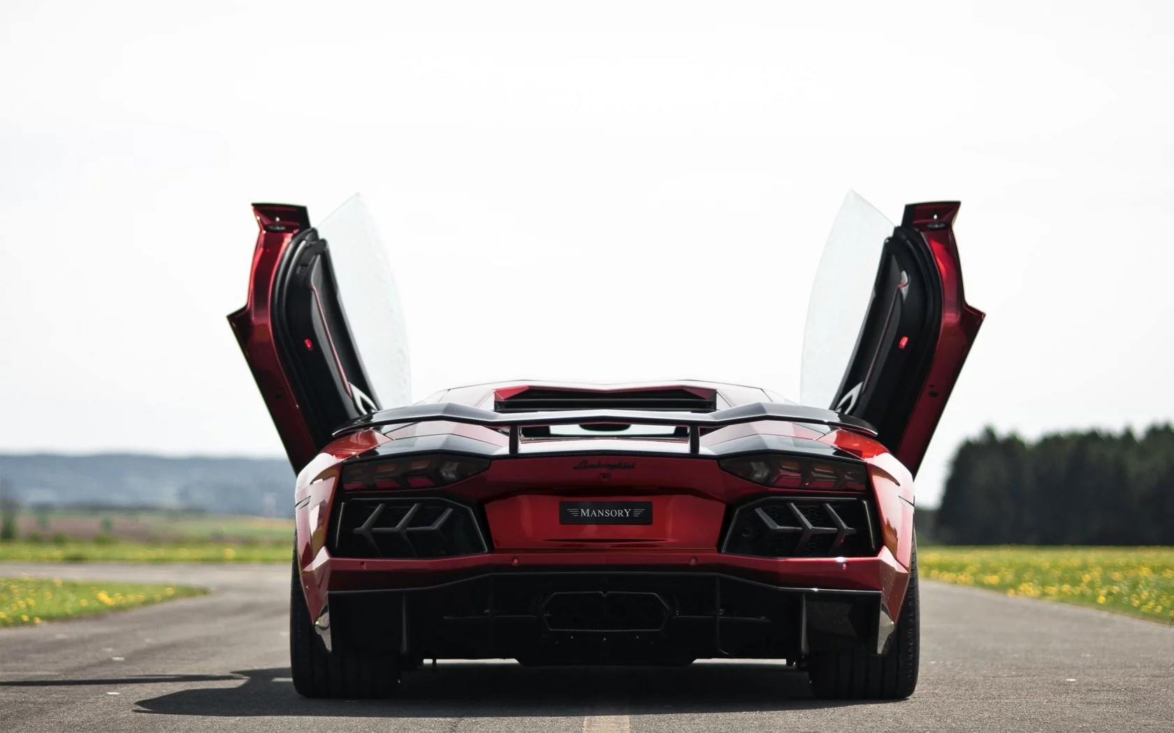 суперкар, lamborghini aventador, попа, дорога