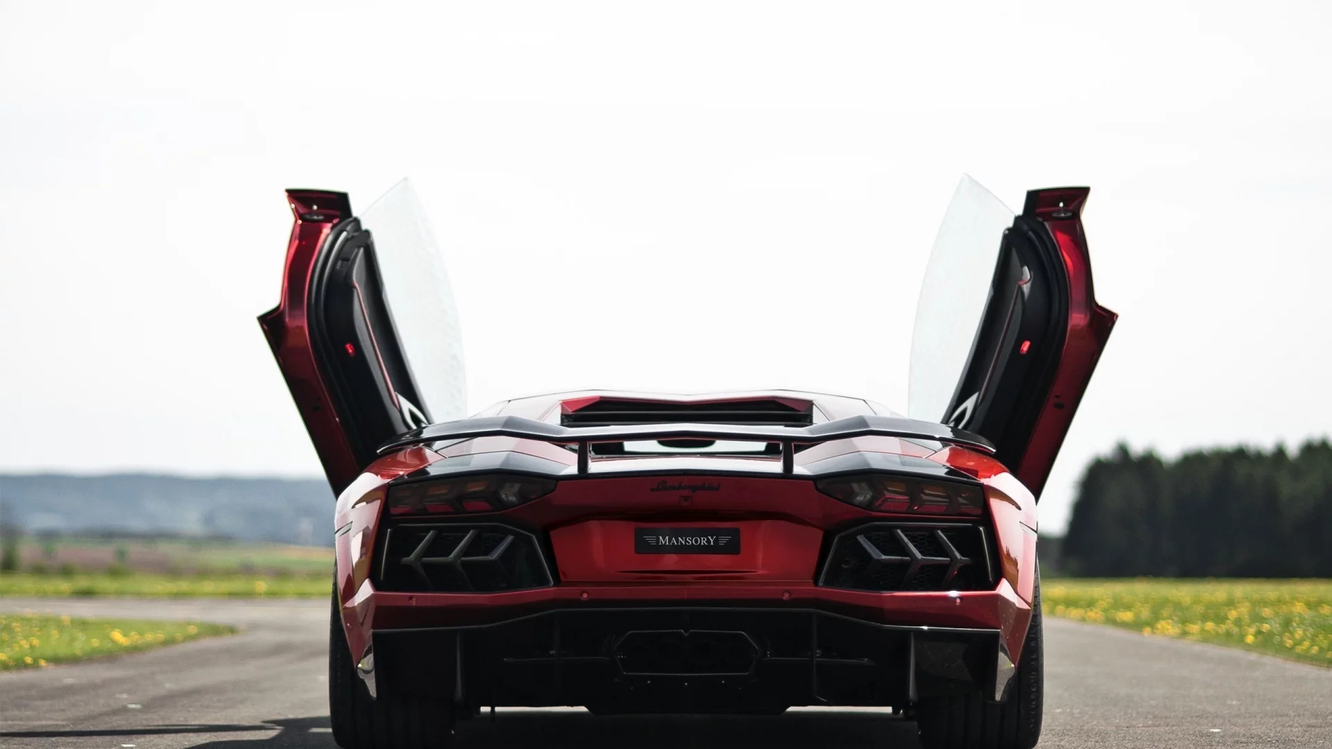 суперкар, lamborghini aventador, попа, дорога
