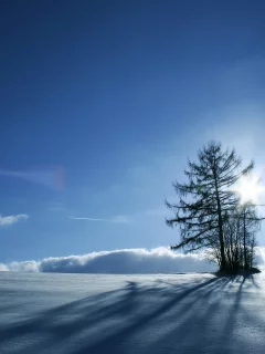 зима, пейзаж, снег, небо