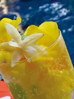 коктель, цветок, море