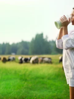 стадо, поле, коровы, зелёная, трава
