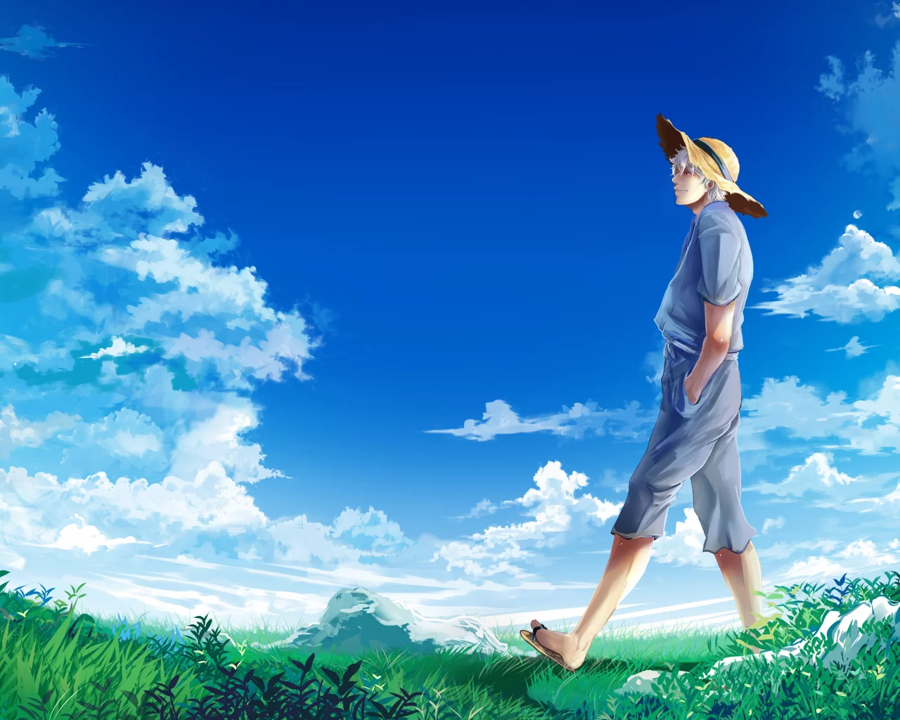 луг, gintama, sakata gintoki, гинтама, парень