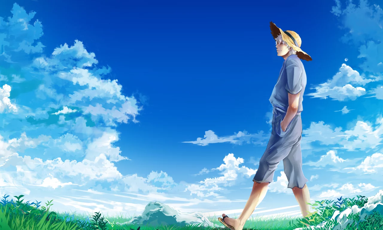 луг, gintama, sakata gintoki, гинтама, парень
