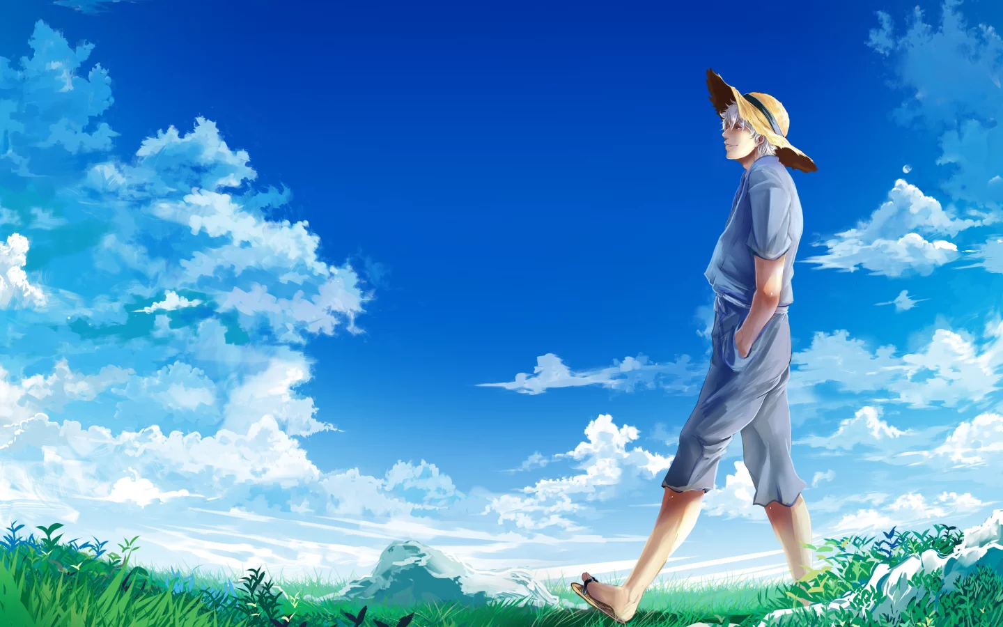 луг, gintama, sakata gintoki, гинтама, парень