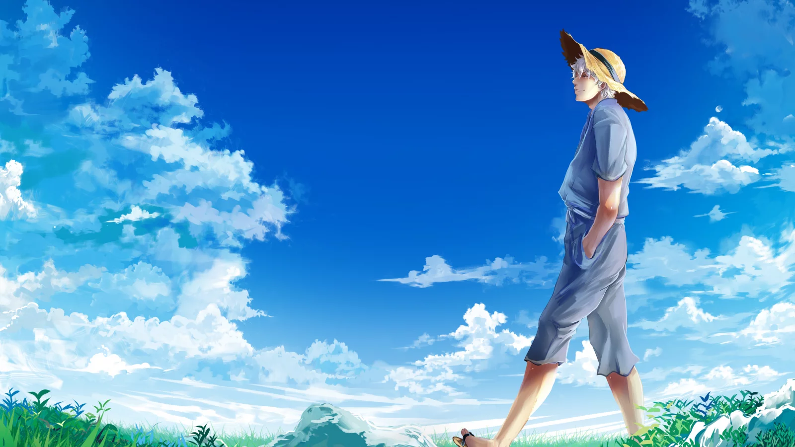 луг, gintama, sakata gintoki, гинтама, парень