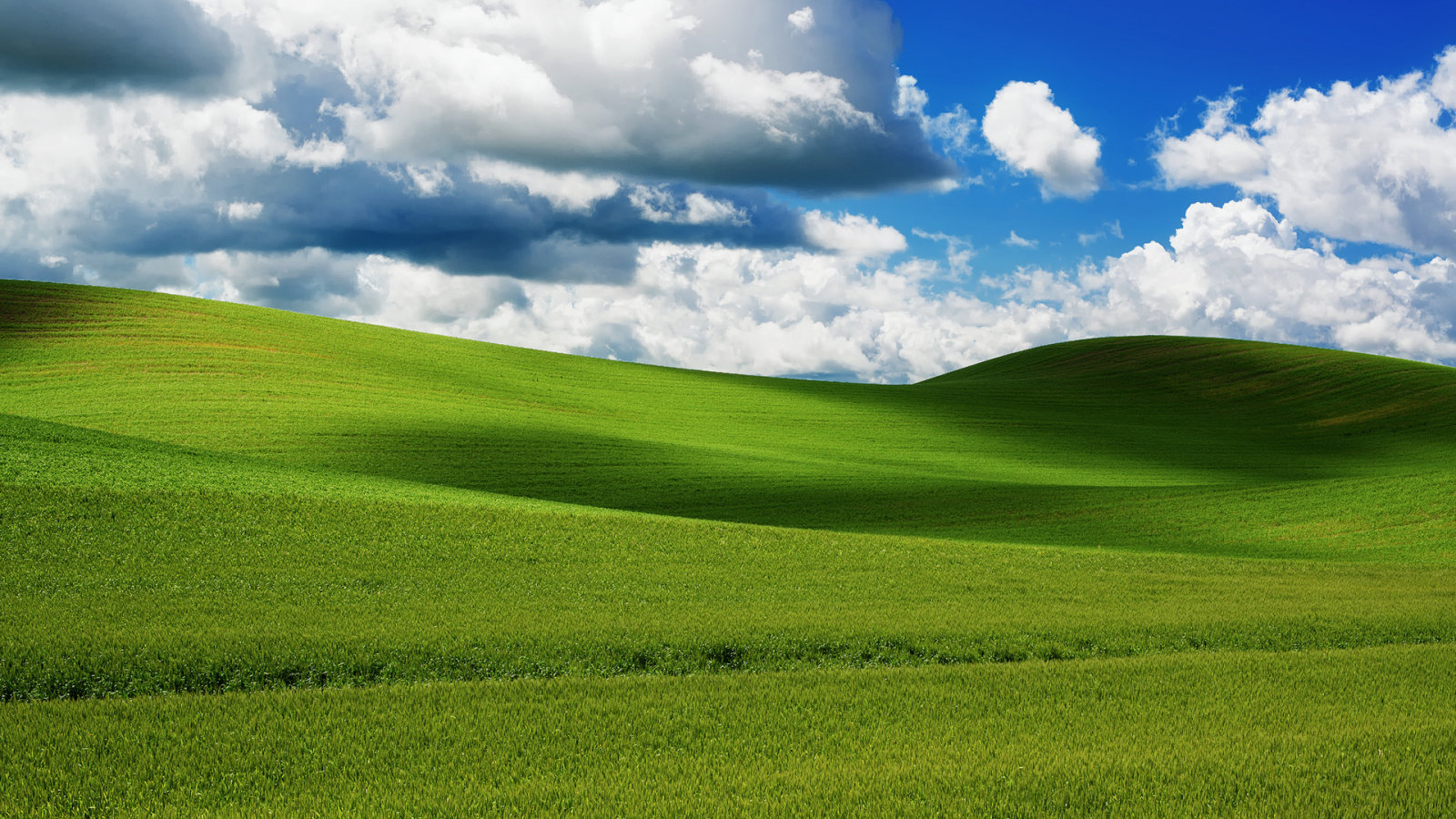 Картинка с windows xp