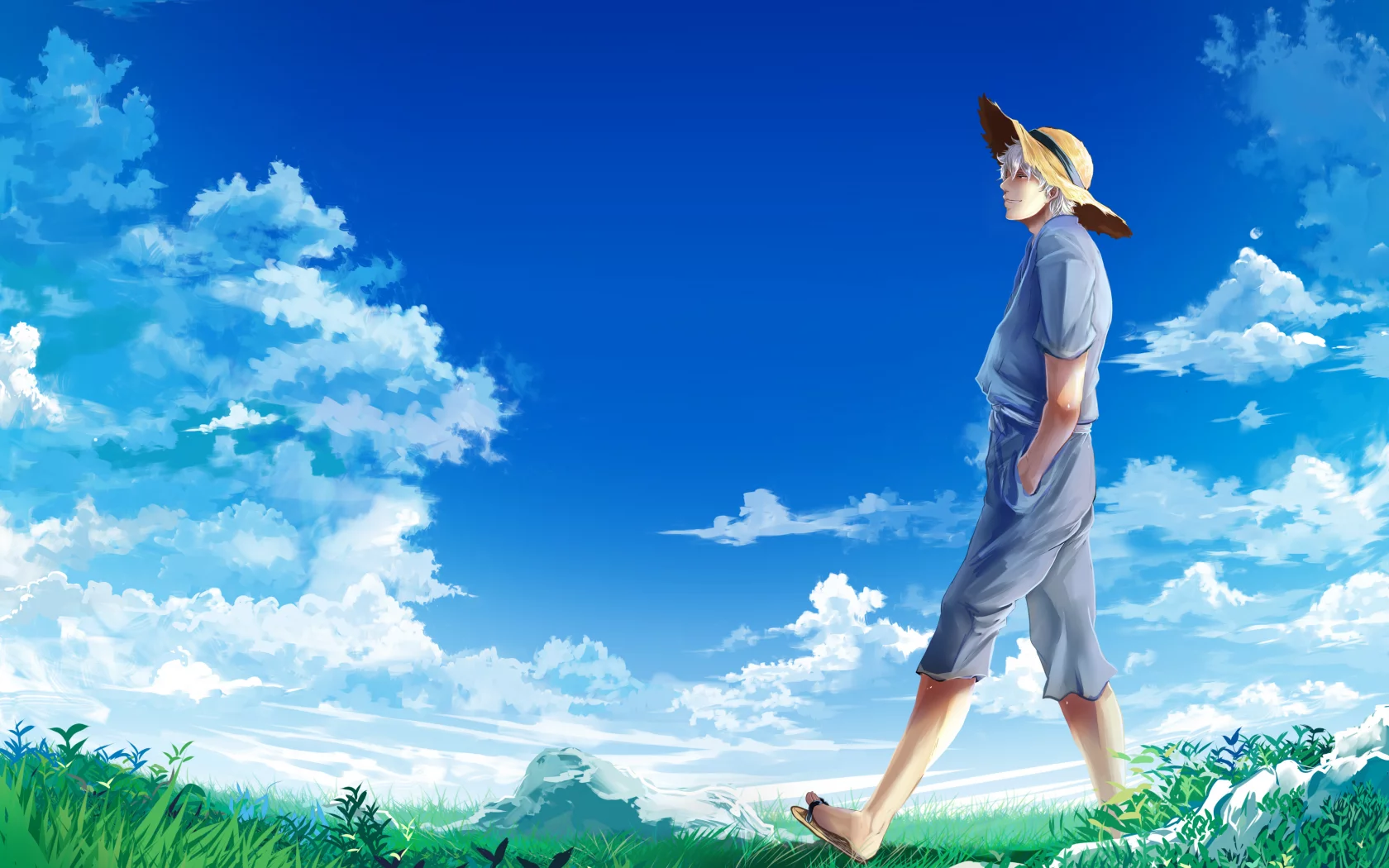 луг, gintama, sakata gintoki, гинтама, парень