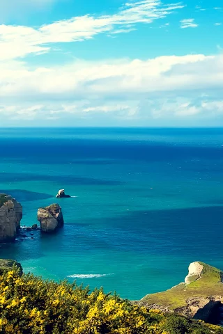 зелень, берег, природа, море, обрыв