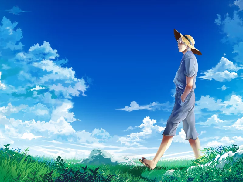 луг, gintama, sakata gintoki, гинтама, парень