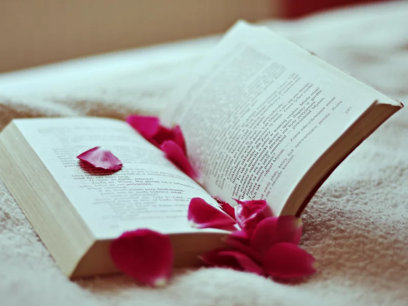 лепестки, книга, текст