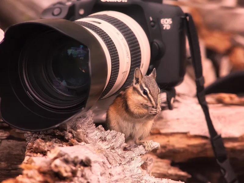 7d, бурундук, фотик, кенон