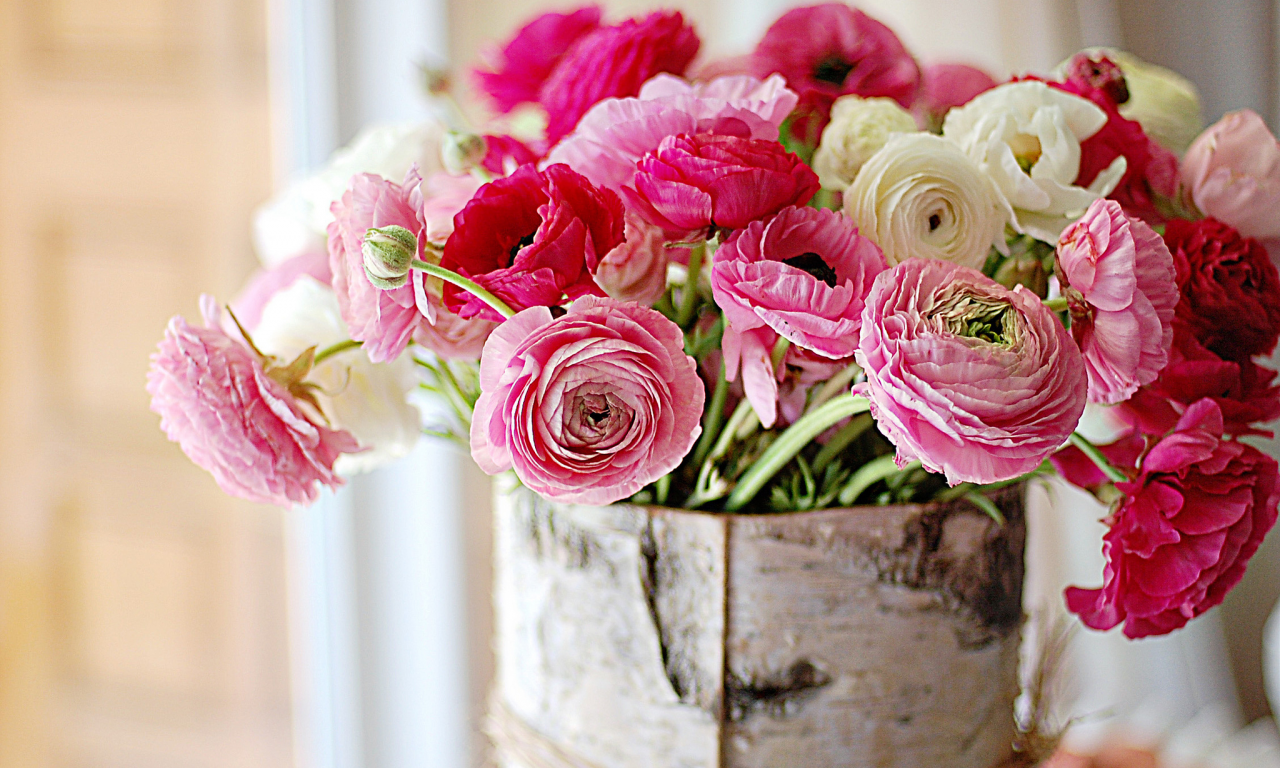 букет, цветок, ярко-розовый