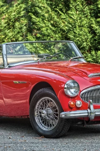bj8, roadster, austin healey, 1966, остин хили, 3000