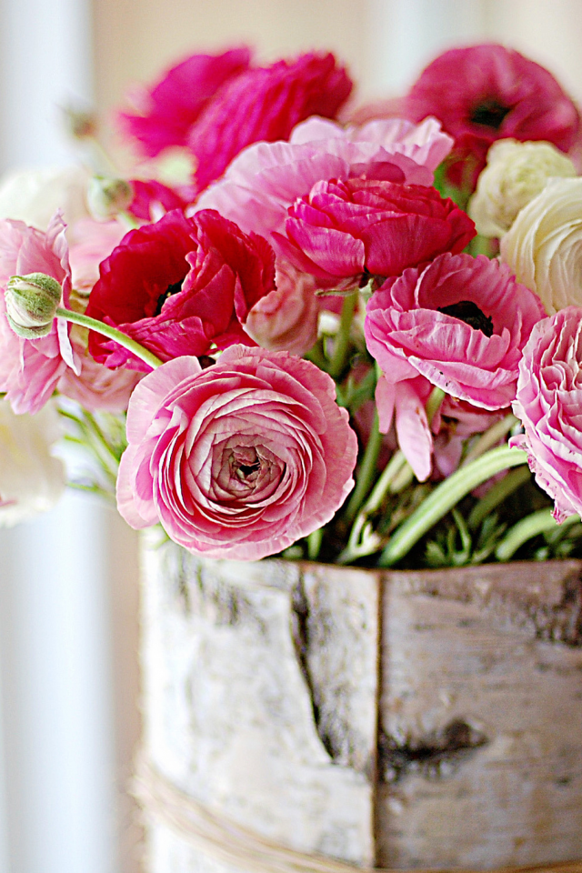 букет, цветок, ярко-розовый