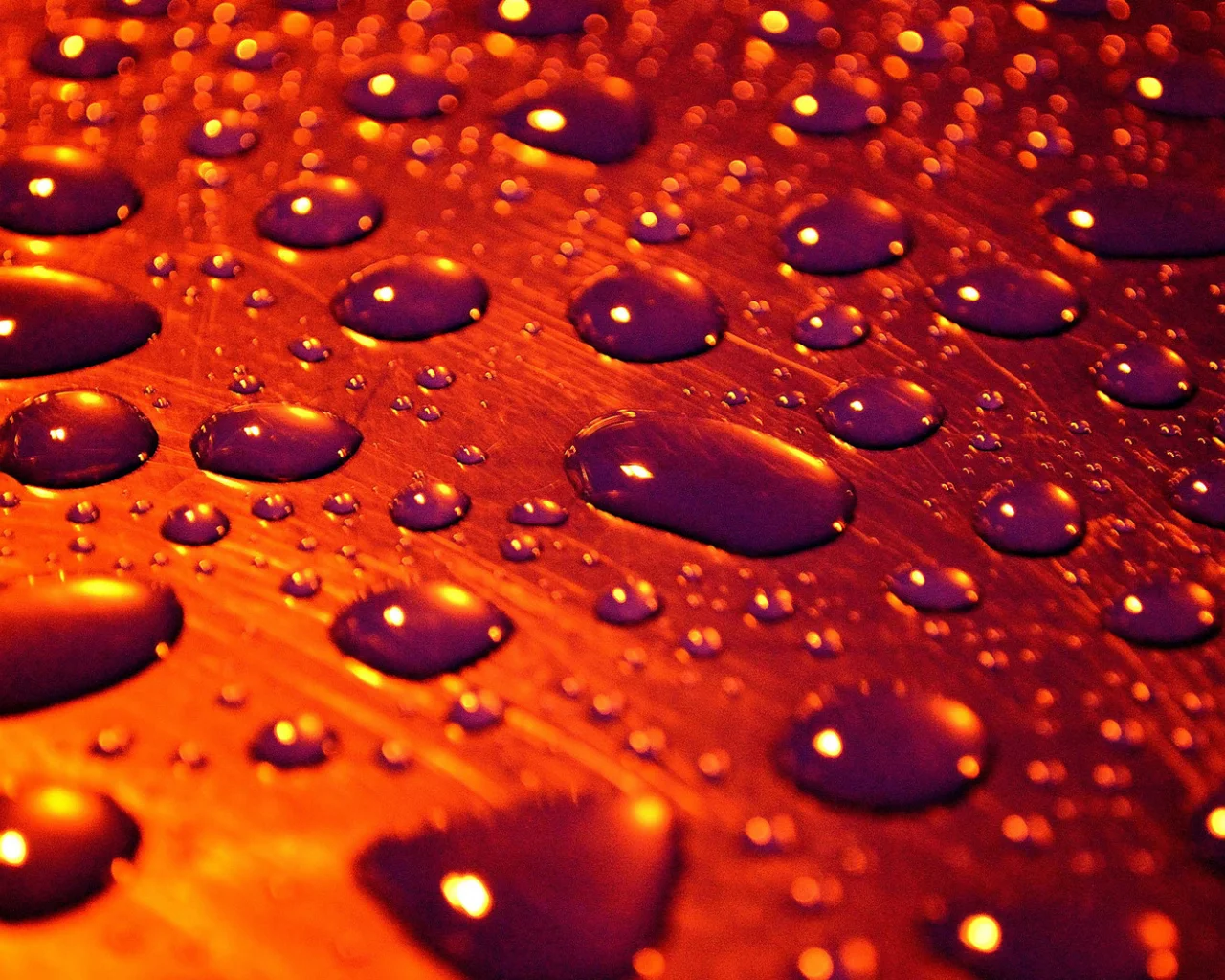 капли, поверхность, вода, macro, drops of rain