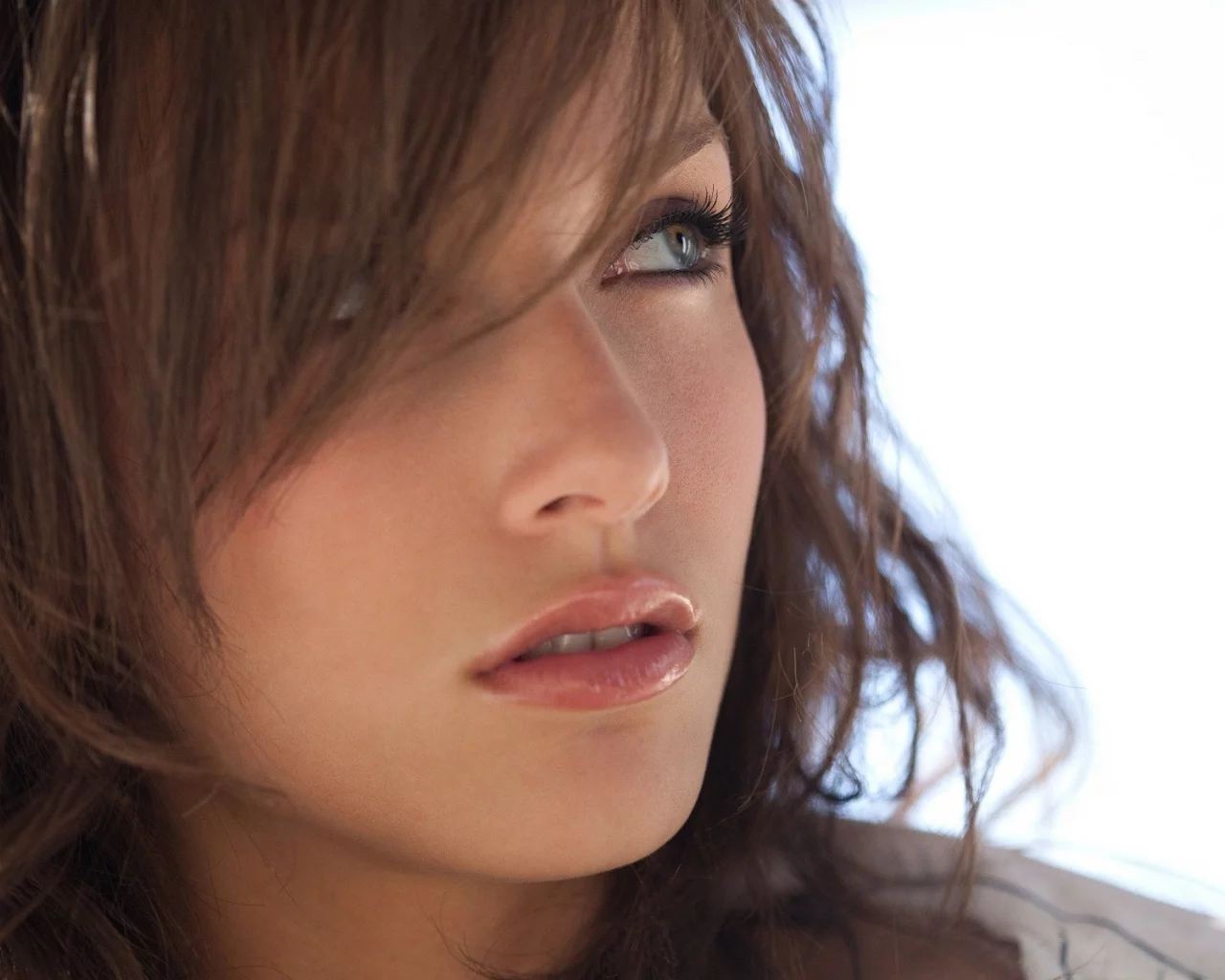 лицо, malena morgan, модель, глаза, взгляд