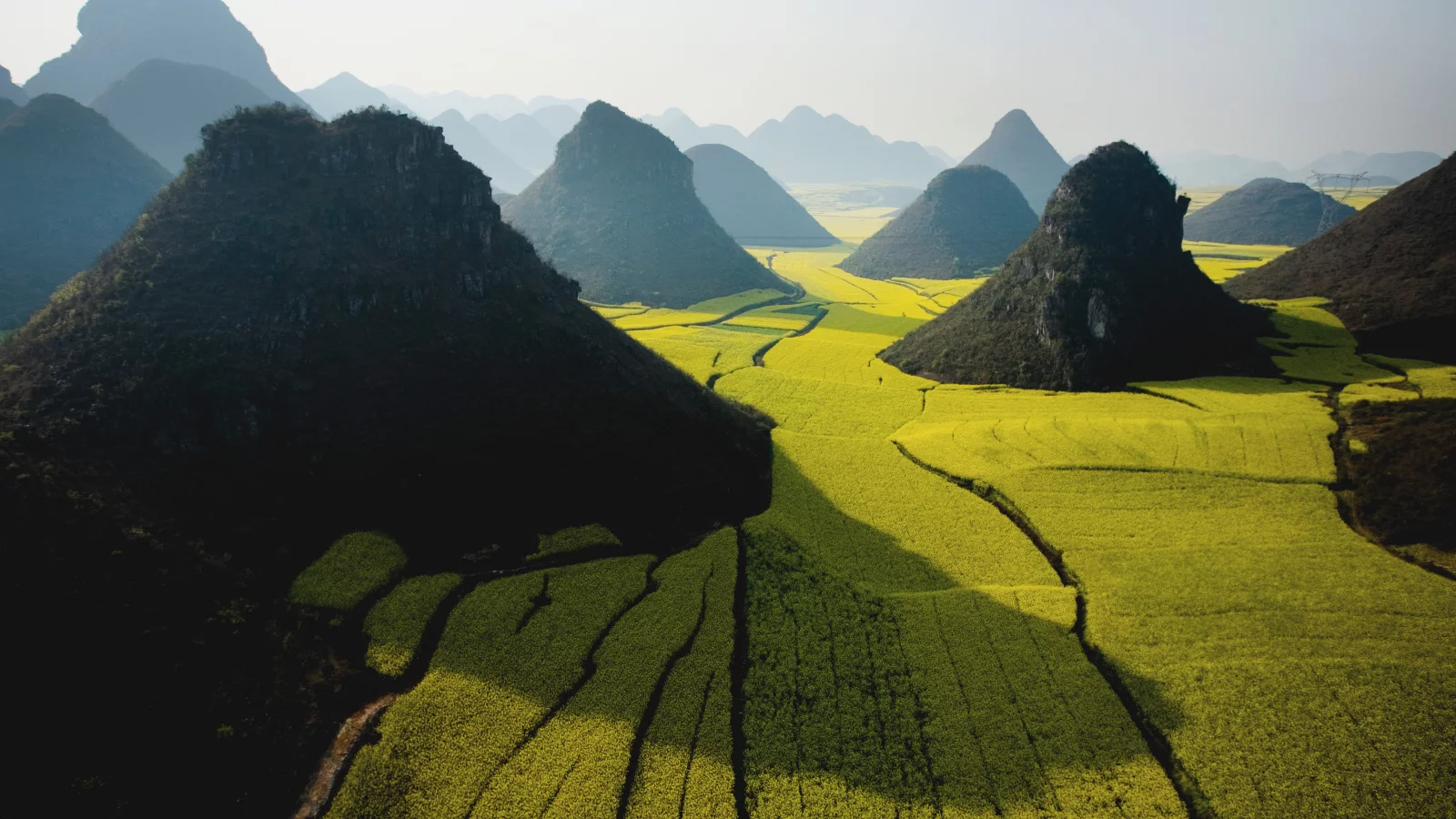 wide, green, mountain, apple, sky, field