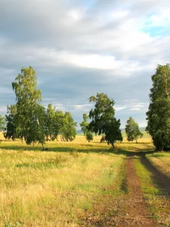 пейзаж, обои, дорога, степь, лето, бескрайняя, широта, макинск