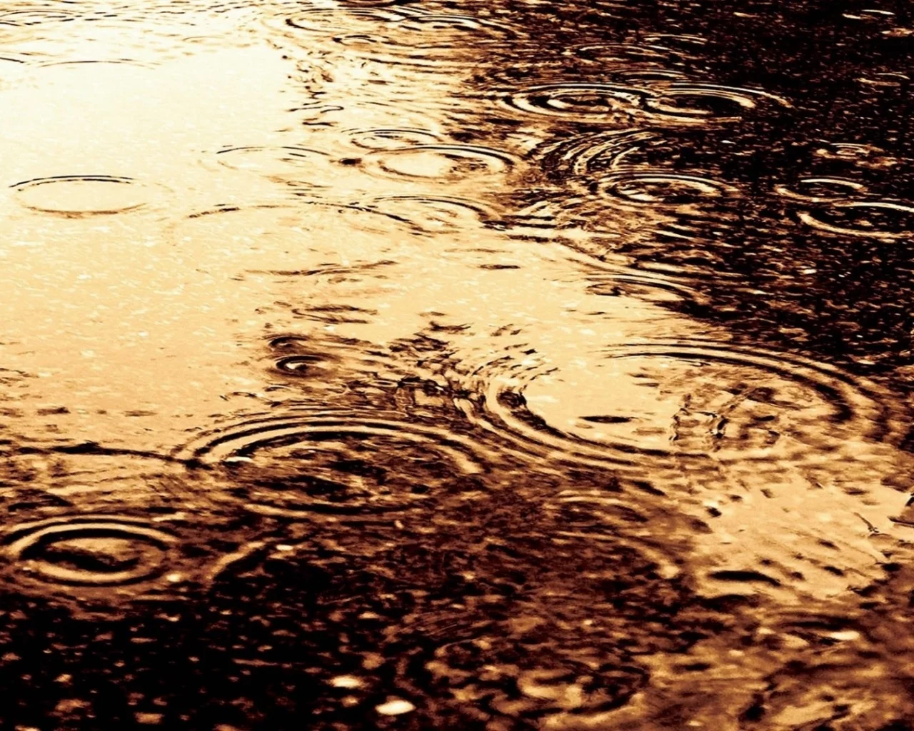 круги, вода, дождь, разводы, капли