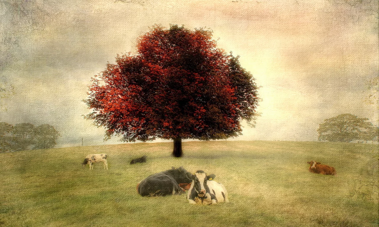 стиль, коровы, пейзаж, фон