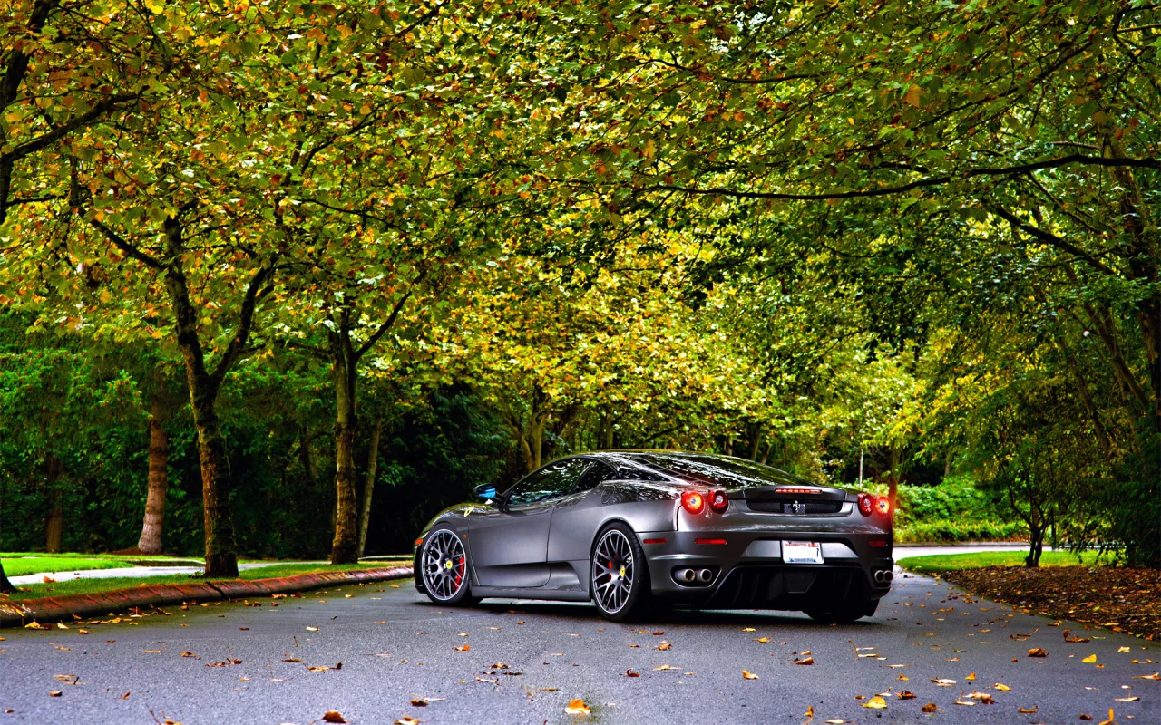 green, 430, tuning, silver, ferrari, leaf, trees, wheels, autumn