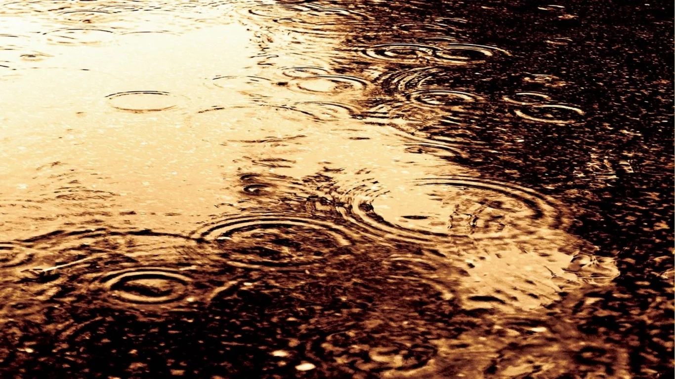 круги, вода, дождь, разводы, капли