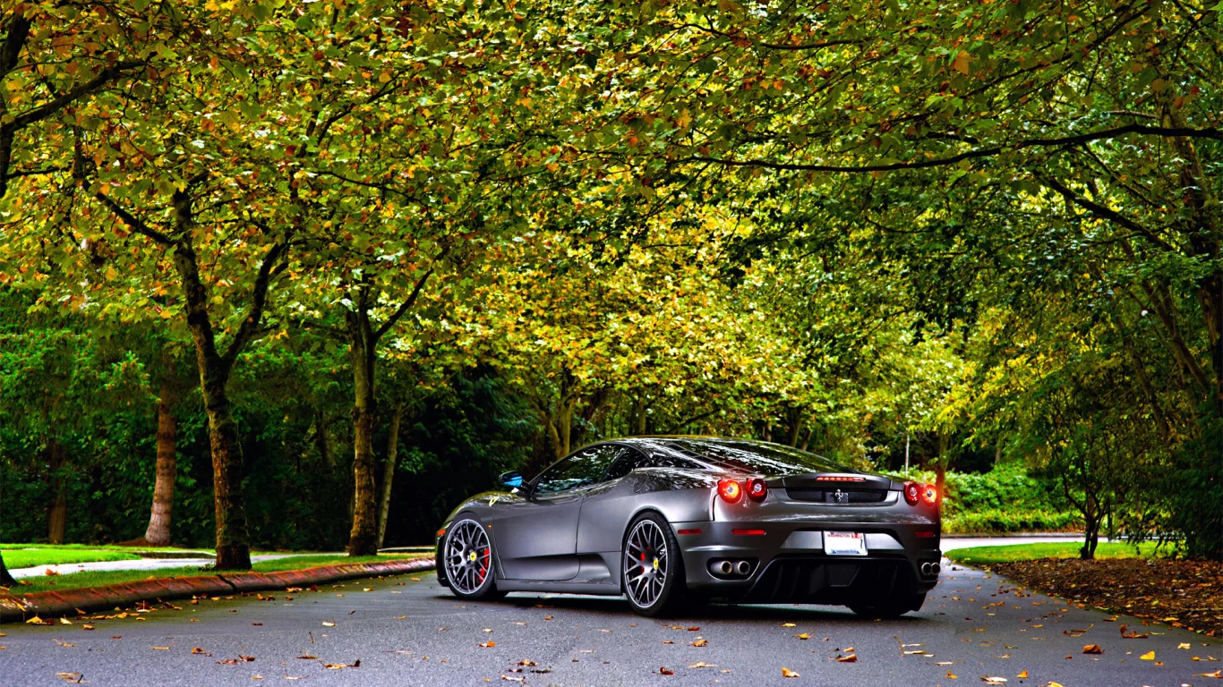 green, 430, tuning, silver, ferrari, leaf, trees, wheels, autumn