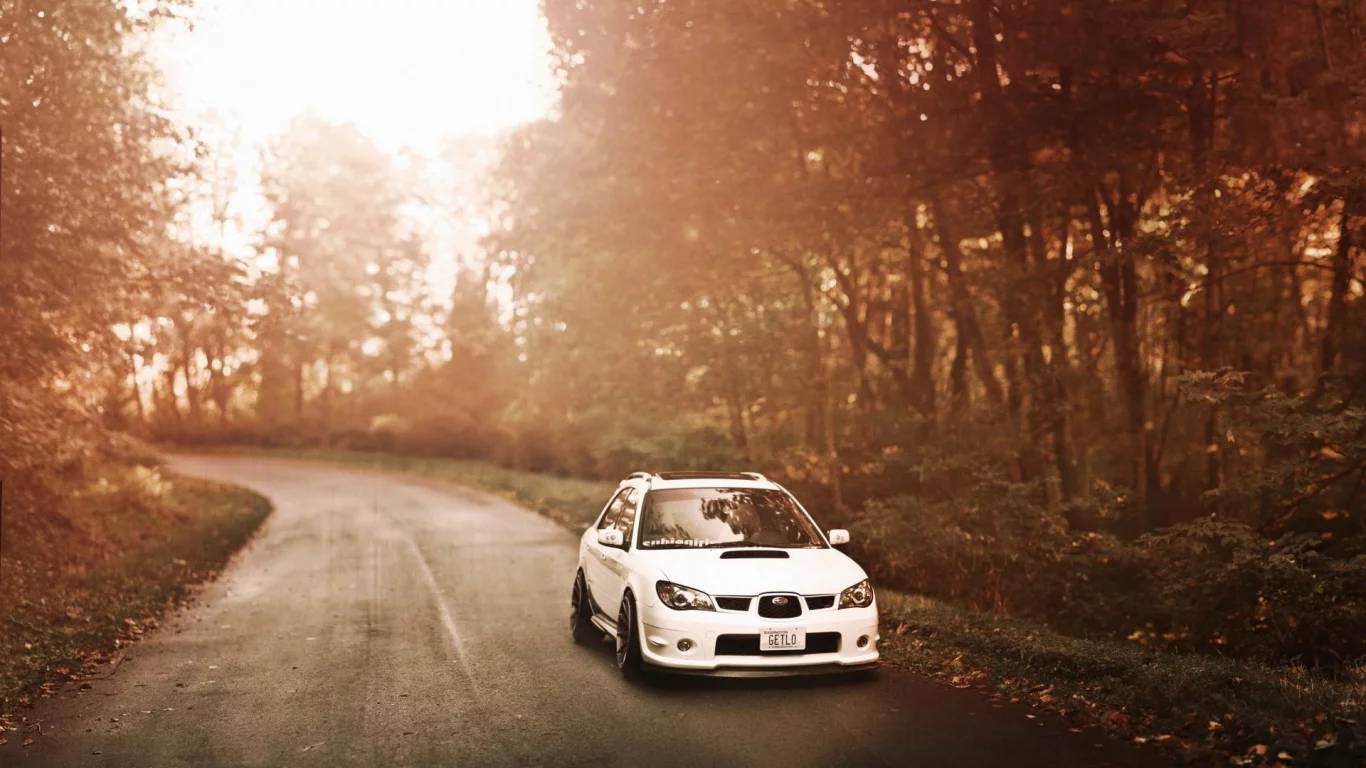 subaru impreza, субару, дорога, лес