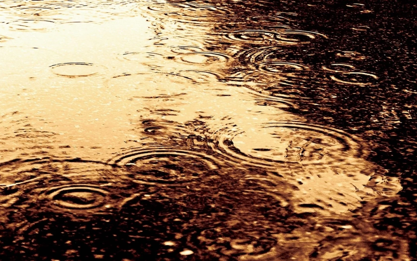 круги, вода, дождь, разводы, капли