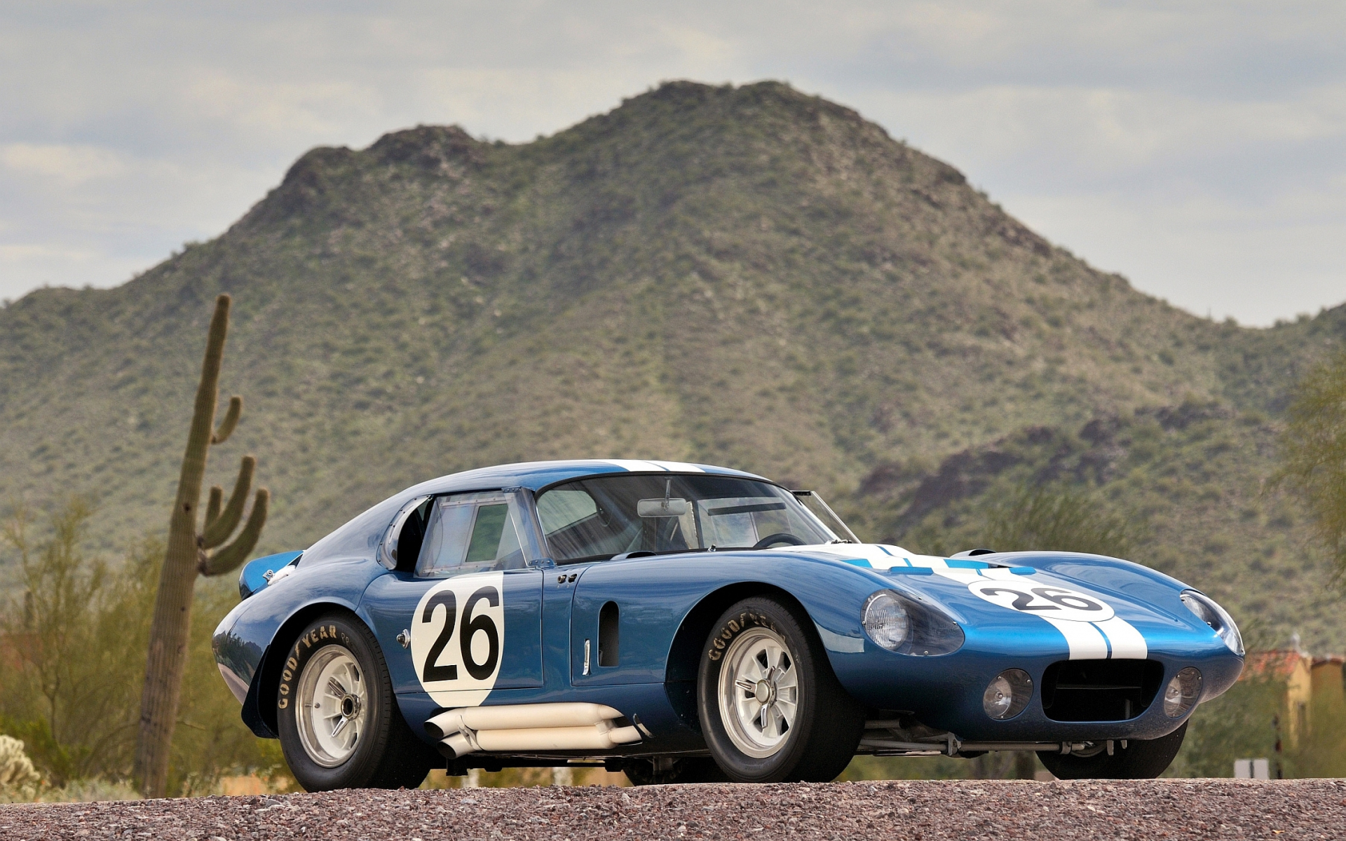 Ford Shelby Daytona Cobra