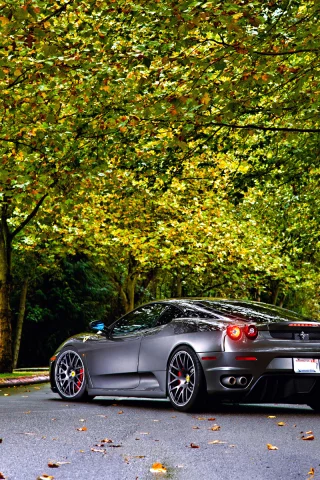 green, 430, tuning, silver, ferrari, leaf, trees, wheels, autumn