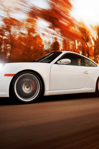 porsche 911 carrera, ригшот, в движении, порше