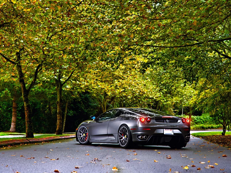 green, 430, tuning, silver, ferrari, leaf, trees, wheels, autumn
