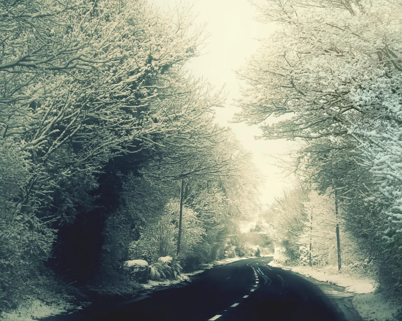 winter, forest, snow, memories, , nature, trees, woods, roads, George Harrison